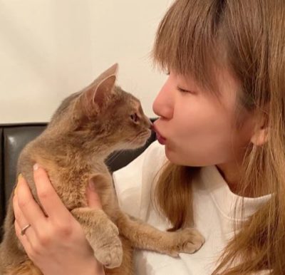 愛猫ラビ