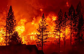 米オレゴン州が緊急事態　強風で森林火災が急速に拡大
