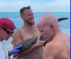 サメに噛まれた様子を動画で撮影