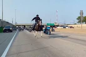 高速道路を馬で走る男