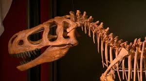 ハドロサウルスの骨格