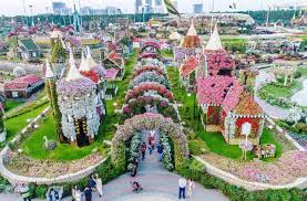 ドバイ・ミラクル・ガーデン（Dubai Miracle Garden）
