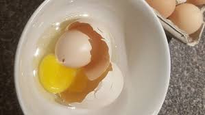 卵の中から殻付き卵がもう1つ出現