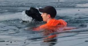 凍った湖に飛び込んで溺れる犬を助けたダーシー・ぺル