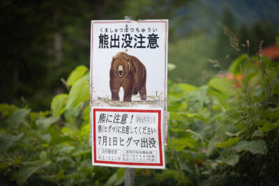 熊の警告看板