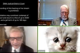 敏腕弁護士Zoomでの裁判に子猫の姿で登場
