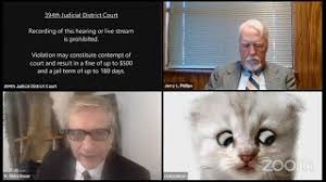 敏腕弁護士Zoomでの裁判に子猫姿で登場