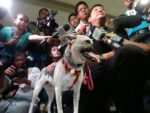 フィリピン出身のヒーロー犬、カバンが13歳で睡眠中に死去