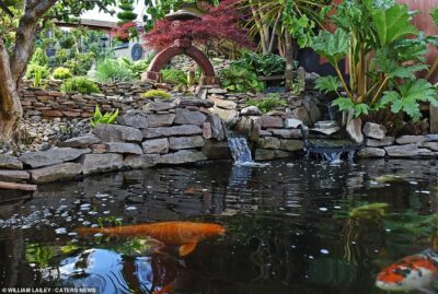 イギリス人男性が10年かけて完成した日本庭園に称賛！