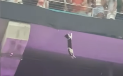 アメフトの試合中、2階デッキで猫が宙ぶらりんに　落下するも国旗に命を救われる