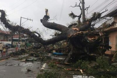 フィリピンを直撃した台風22号（アジア名：ライ、Rai）による被害死者99人に！